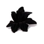 Starfish Stud Earrings