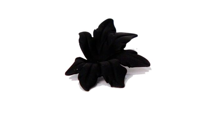 Starfish stud earings in black - Image 1